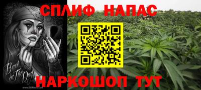 крисы Кунгур