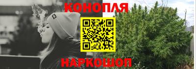 PSILOCYBIN Кулебаки