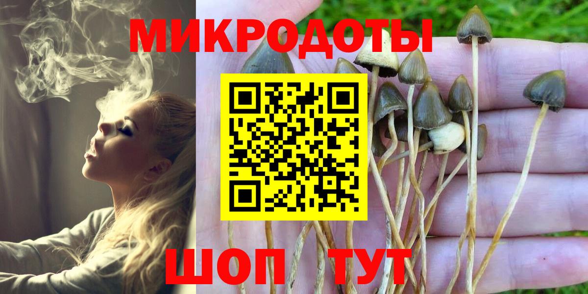 Иваново  где продают   Вход с VPN  Псилоцибиновые грибы мицелий  Галлюциногенные грибы Psilocybine cubensis 